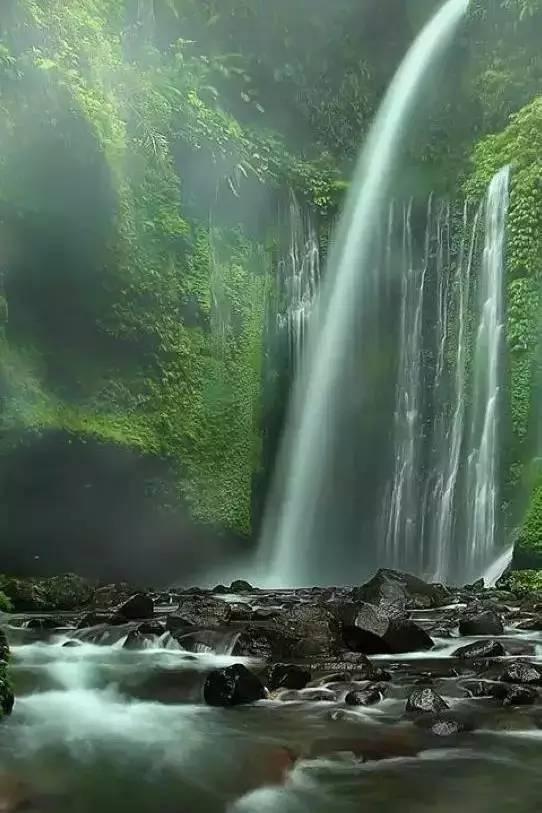 蜡笔小新兄妹春节大拜年