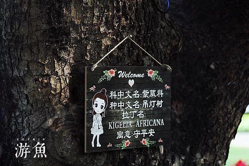 神秘老宅找不同