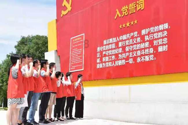 可爱的小考拉